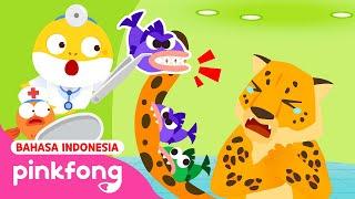 Roar Teman Predator Menakutkan  Kartun Anak  Main Rumah Sakit  Baby Shark Indonesia