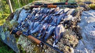 Kyyhkyn Metsästys Pigeon Hunting 2021 Jakso 3