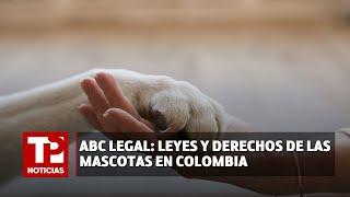 ABC Legal Leyes y derechos de las mascotas en Colombia 23.07.2024 TP Noticias