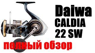 Daiwa Caldia 22 SW - МОЩЬ И ТЯГА 