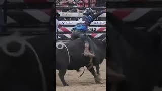 The next generation of bull riders showing off their skills
