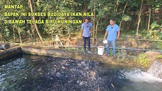 MANTAP BAPAK INI SUKSES BUDIDAYA IKAN NILA DIBAWAH TELAGA BIRU KUNINGAN