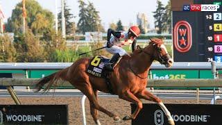 Win For The Money books Breeders Cup ticket with WOODBINE MILE triumph