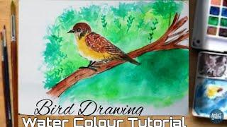 How To Draw A Bird With Water Colour Bird Drawing  Art Video