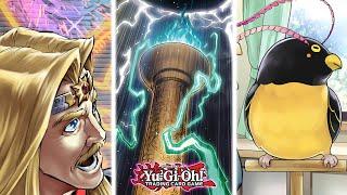 You HAVE To Play These Cards If You Want To Beat Tenpai Dragon Yu-Gi-Oh
