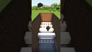 Secret Pool in Minecraft 