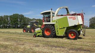 Gras hakselen met Claas Jaguar 860 Ares 836 RZ en NH Fiatagri M135 - Loonbedrijf Mollink 2021