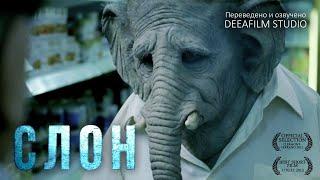 Короткометражный фильм «Слон»  Озвучка DeeaFilm