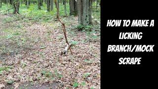 How to make a licking branchmock scrape.