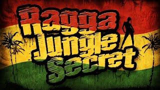 RAGGA JUNGLE SECRET - Drum n Bass Mix