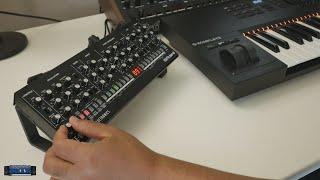 Roland SE-02 Demo + Studio Electronics ABCs & Minis Classic Patch Library