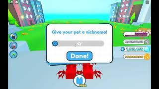 How to give your pets a rainbow name in Pet Simulator X