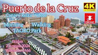 Tenerife ️ Puerto de la Cruz Morning TAORO Park 2 August 2024 Teneriffa