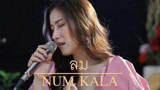 ลม - NUM KALA  Acoustic Cover By Anny x Oat