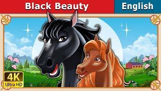 Black Beauty  Stories for Teenagers  @EnglishFairyTales