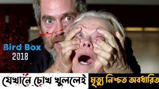 অদ্ভুত সিনেমা  Bird Box 2018 সম্পুর্ন সিনেমা বাংলায়  Horror Movie Explained in Bangla  Thriller