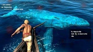 Assassins Creed 4 All Harpooning Activities & The White Whale  Moby Dick 