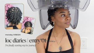 Loc Diaries 01 Im Finally Starting My Loc Journey Professional Loctician Visit + Full Process