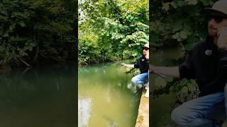 Haibo Arise Ultra Air in Action  #haibo #arise #fishing #skipping #aliexpress #shorts #nature