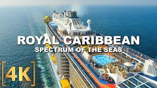 Tour at the BIGGEST Cruise Ship in Asia - Royal Caribbean Spectrum of the Seas  4 Days Walk Tour