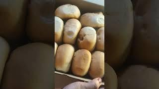 SATISFYING Toasted Siopao #food #viral #trending