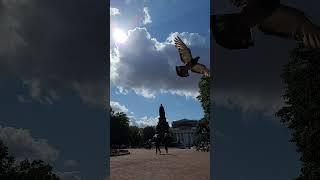 Magic clouds over Catherines Garden St.Petersburg 08152021 4K video quality