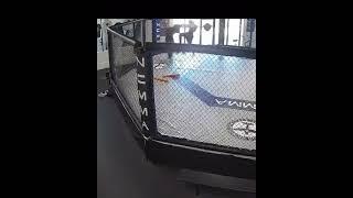 Frankie Edgar falls out of the cage door during training