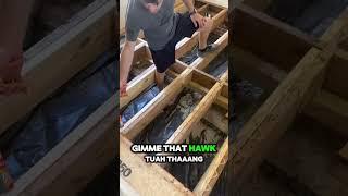 when you hawk tuah the glue tuah  #hawktuah #construction