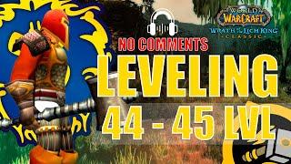 WOTLK Leveling Alliance Guide Paladin 44-45 One hour preparation WoW 4KASMR