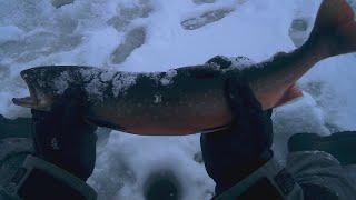Зимняя ловля арктического гольца на Кольском полуострове. Техника ловли гольца зимой.