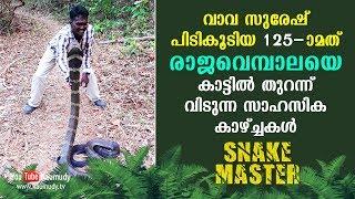 Wow 14 feet long 125th King Cobra released in the forest  Snakemaster  Latest episode