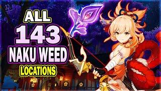 All 143 Naku Weed Locations - Efficient Farming Route  Yoimiya Ascension Material  Genshin Impact