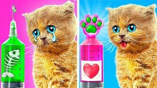 Extreme Pet Rescue In The Hospital  SAVE THIS KITTY  *Cool Gadgets And Funny Stories*