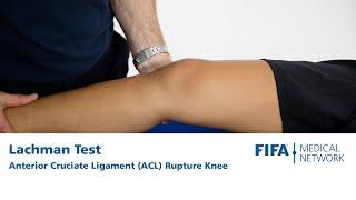 Lachman Test  Anterior Cruciate Ligament ACL Rupture Knee