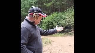 Anti-Gun Squirrel Harasses Elderly Shooter #squirrel #harassment #shooting