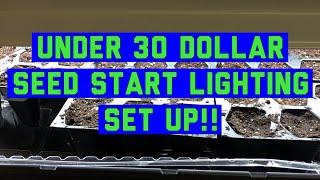 Easy seed starting indoors set up with light for UNDER 30 dollars for beginners vegetable gardening