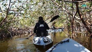 Kayaking on Floridas Space Coast