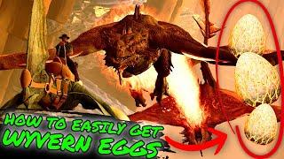 How To EASILY Get WYVERN Eggs ON Scorched Earth How to Get Your First Wyvern Egg in ASA