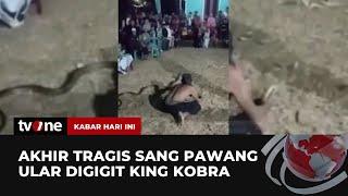 Pawang Ular Tewas Digigit King Kobra Peliharaannya  Kabar Hari Ini tvOne