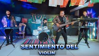 Sentimiento Del Violin - Los Hijos De San Juan Mixtepec  VIDEO OFICIAL 