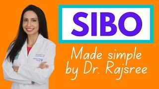 SIBO  A doctors guide to the root cause of Bloating and IBS