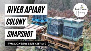 RIVER APIARY SNAPSHOT - 9 COLONY WINTER INSPECTION