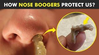 Why Do We Have Boogers in nose? Nose Boogers Exposed