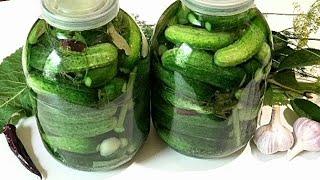 САМЫЙ ПРОСТОЙ способ засолки огурцов на зиму. КВАШЕНЫЕ ОГУРЦЫ Salted cucumbers
