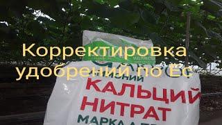 Корректировка Ес для полива почвы #farming #землядел