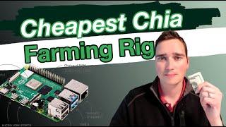 Build Cheapest Chia Farming Rig - Hard Drive Mining