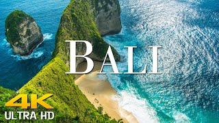 Bali 4K Ultra HD - Scenic Wildlife Film With Calming Music  Scenic Film Nature