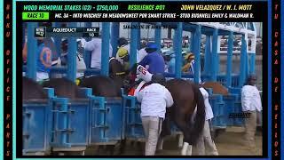 RESILIENCE  JOHN VELAZQUEZ - WOOD MEMORIAL STAKES G2   $750000 - 06042024.