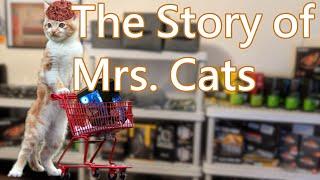 The Story of Mrs. Cats Computer Flipping Round Up Month 5