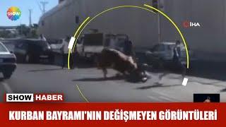 Kurban Bayramının değişmeyen görüntüleri